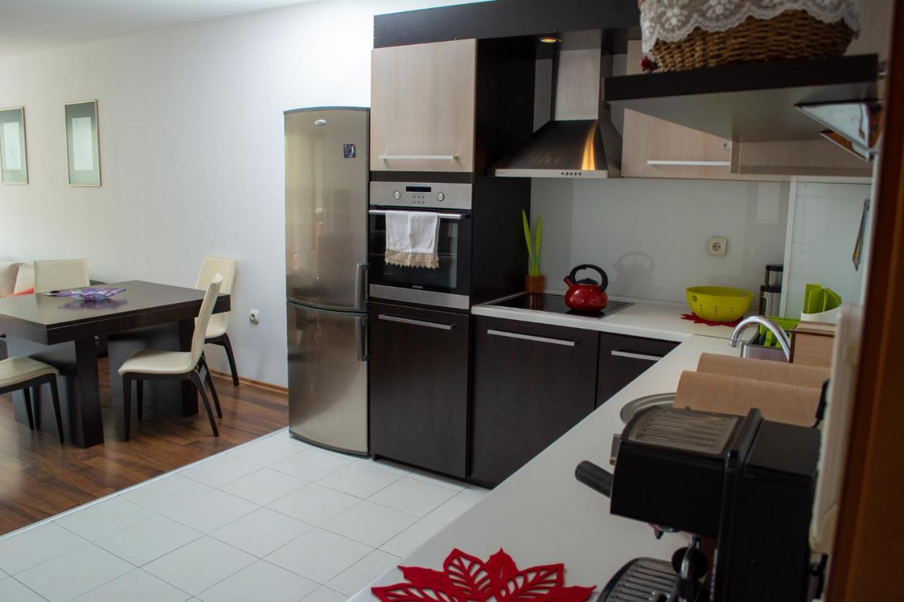 Central Apartment Mountain View Karlovo Esterno foto